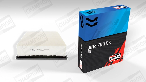 Air Filter (CAF100612P)
