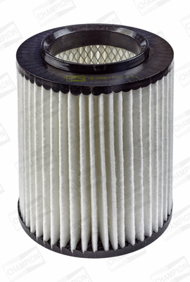 Air Filter (CAF100499C)