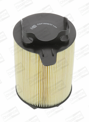 Air Filter (CAF100467C)