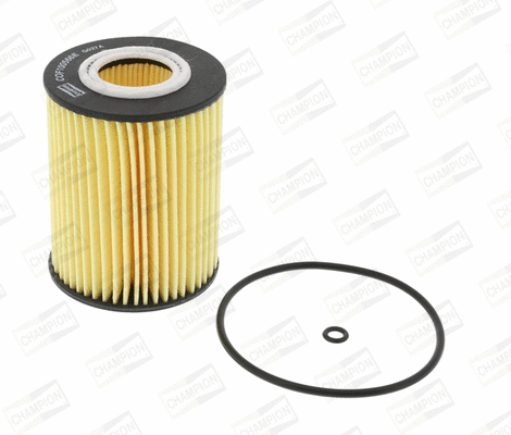 Oil Filter (COF100566E)