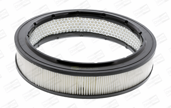 Air Filter (CAF100102R)