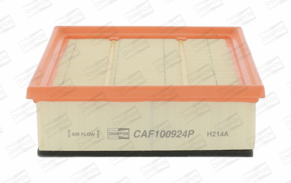 Air Filter (CAF100924P)