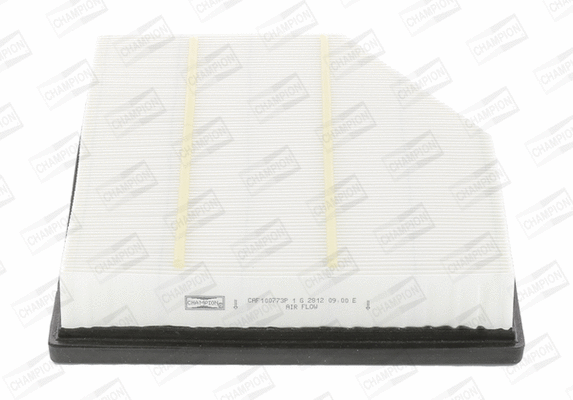 Air Filter (CAF100773P)