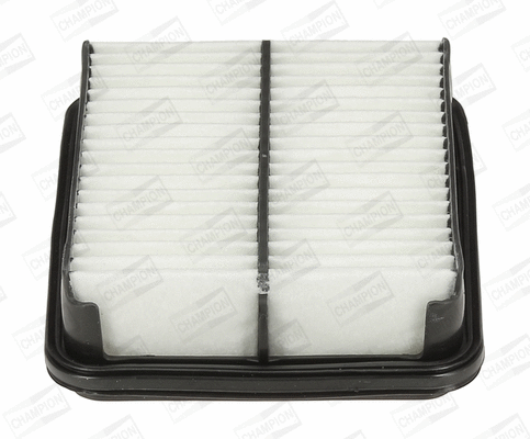Air Filter (CAF100933P)