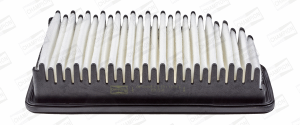 Air Filter (CAF101032P)