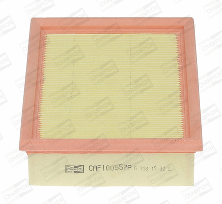 Air Filter (CAF100557P)
