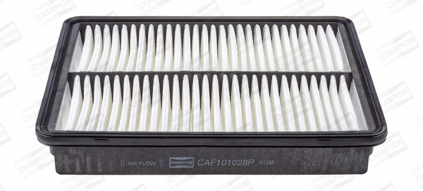 Air Filter (CAF101028P)
