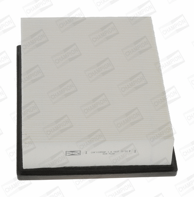 Air Filter (CAF100558P)