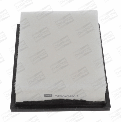 Air Filter (CAF101201P)