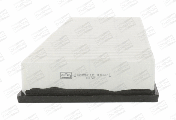 Air Filter (CAF100758P)
