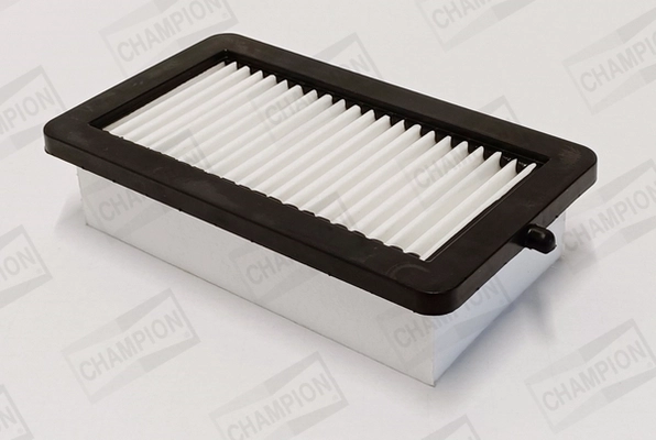 Air Filter (CAF101191P)