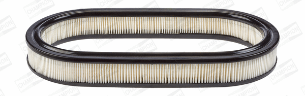 Air Filter (CAF100226R)
