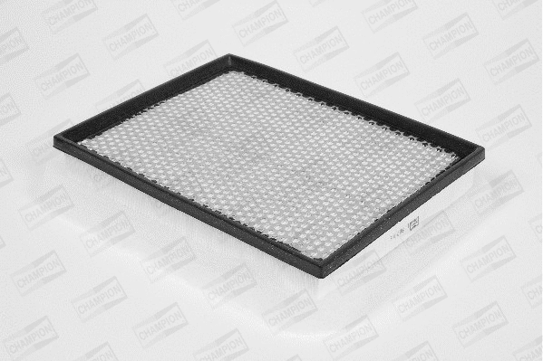 Air Filter (U794/606)