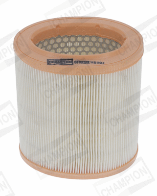 Air Filter (CAF101251R)