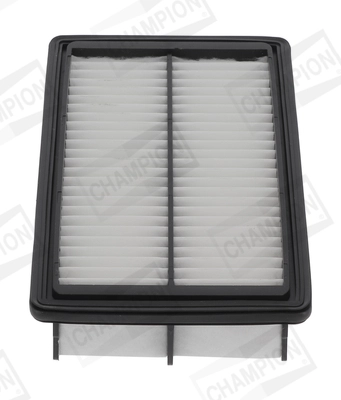 Air Filter (CAF101266P)