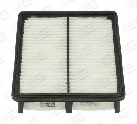 Air Filter (CAF100968P)