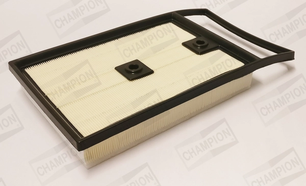 Air Filter (CAF101267P)