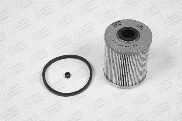 Fuel Filter (L253/606)