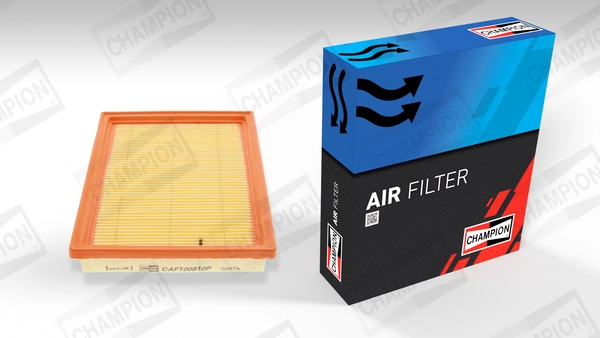 Air Filter (CAF100810P)