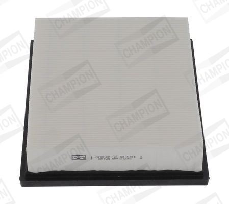 Air Filter (CAF101183P)