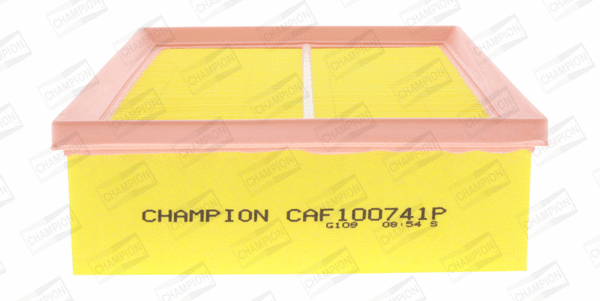 Air Filter (CAF100741P)