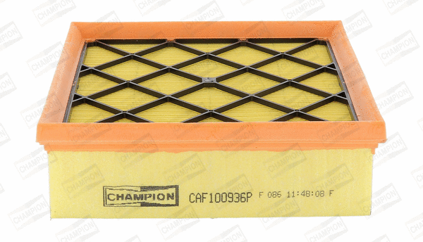 Air Filter (CAF100936P)