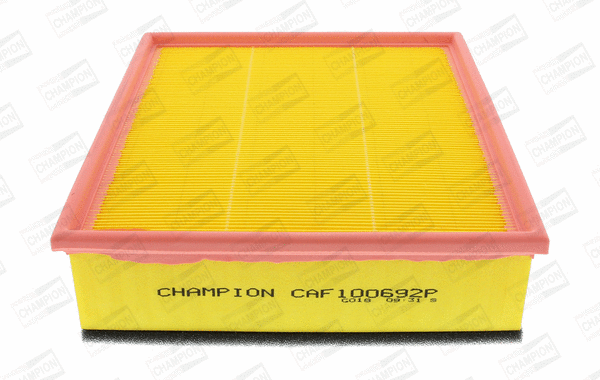 Air Filter (CAF100692P)