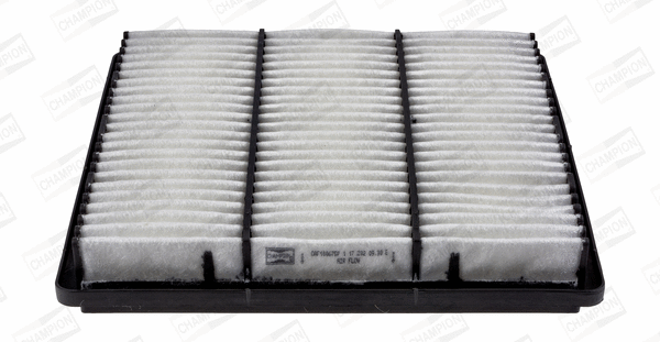 Air Filter (CAF100675P)