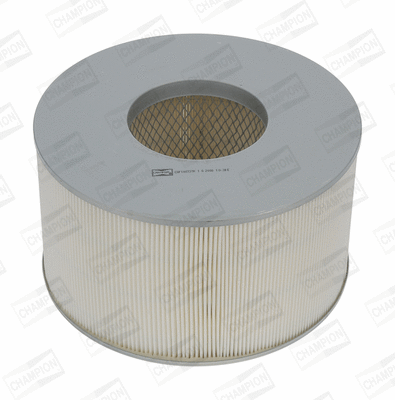 Air Filter (CAF100737R)