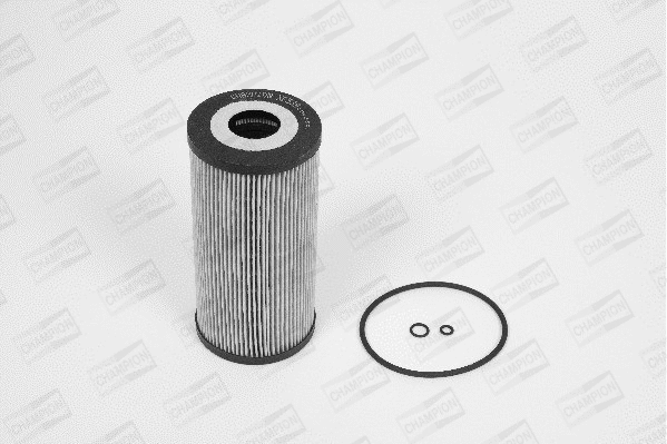 Oil Filter (XE539/606)