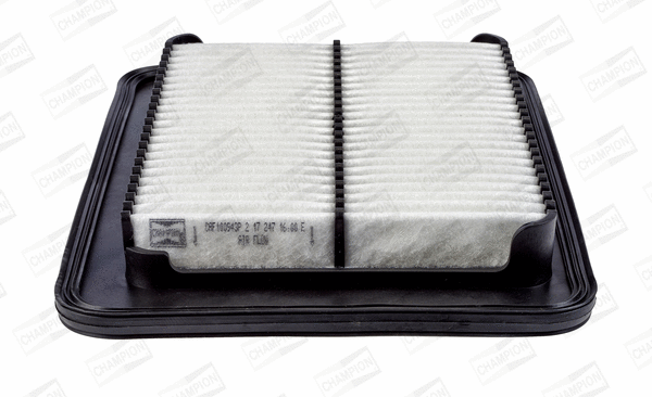 Air Filter (CAF100943P)