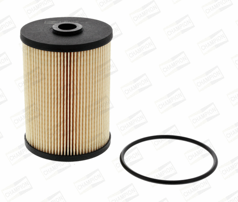 Fuel Filter (CFF100447)
