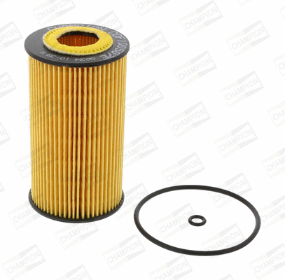Oil Filter (COF100507E)