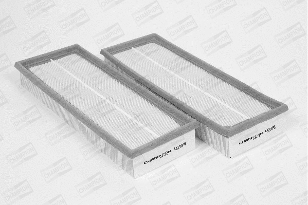Air Filter (U785/606)