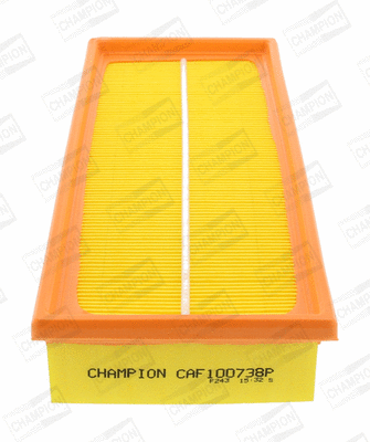 Air Filter (CAF100738P)
