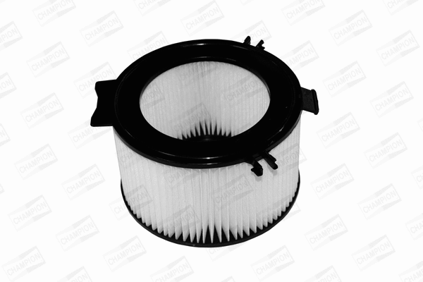 Filter, cabin air (CCF0075)