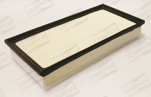 Air Filter (CAF101253P)