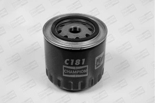 Oil Filter (C181/606)