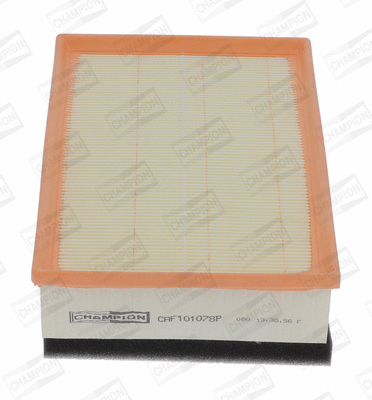 Air Filter (CAF101078P)
