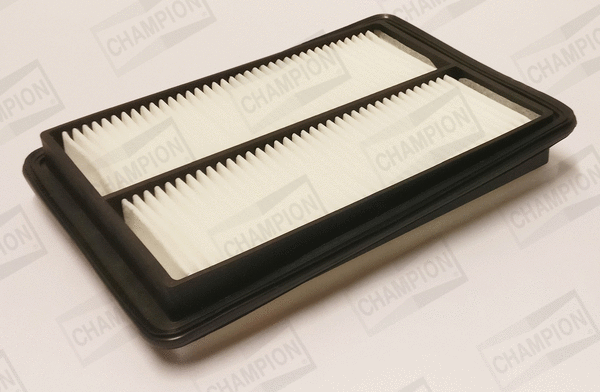 Air Filter (CAF101392P)