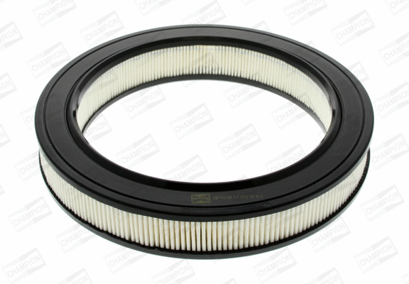 Air Filter (CAF100103R)