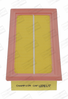Air Filter (CAF100611P)
