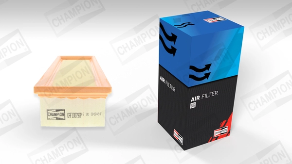 Air Filter (CAF100797P)