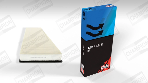 Air Filter (CAF100706P)