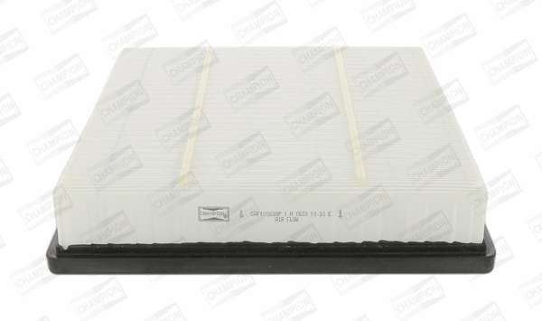 Air Filter (CAF100838P)