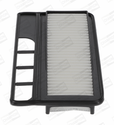 Air Filter (CAF100977P)