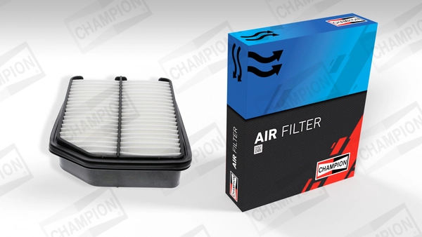Air Filter (CAF100882P)