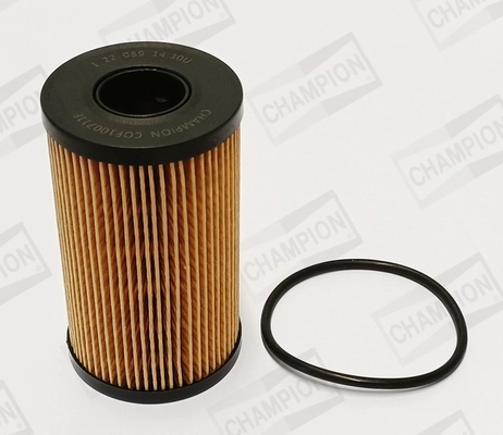 Oil Filter (COF100711E)