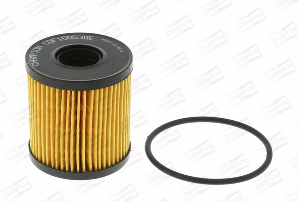 Oil Filter (COF100530E)