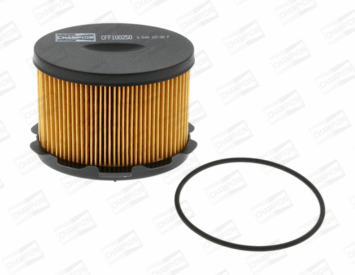Fuel Filter (CFF100250)